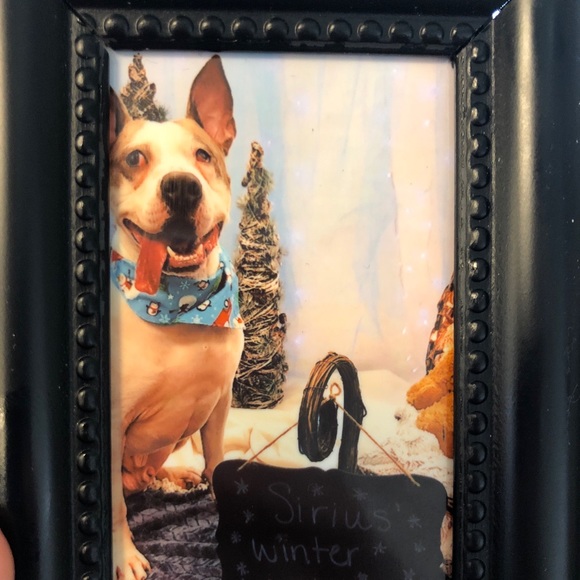 Meet your Posher, Erika - Picture 2 of 8